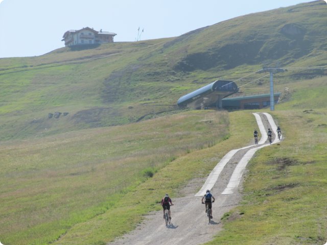 245.jpg