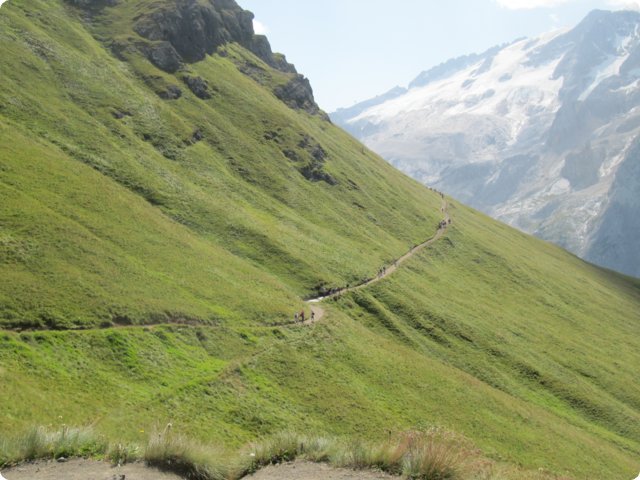 250.jpg