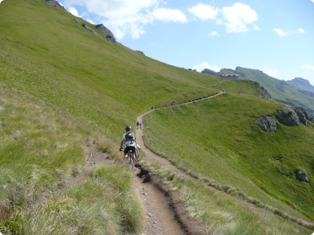 252.jpg