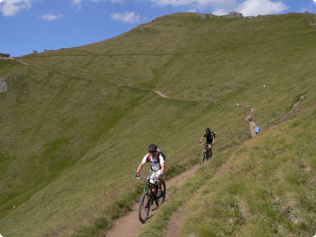 254.jpg