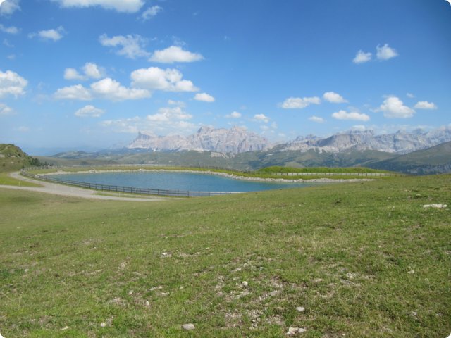 265.jpg