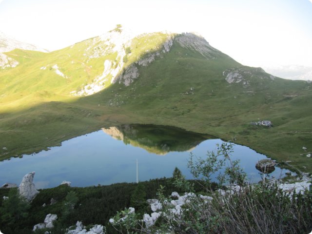 293.jpg