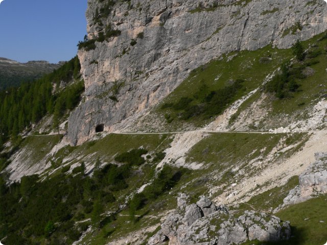 306.jpg