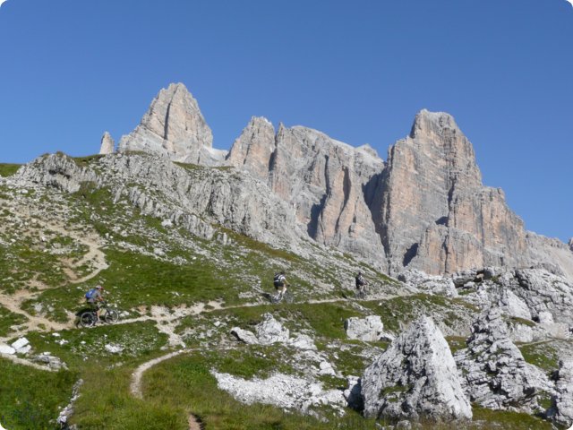319.jpg