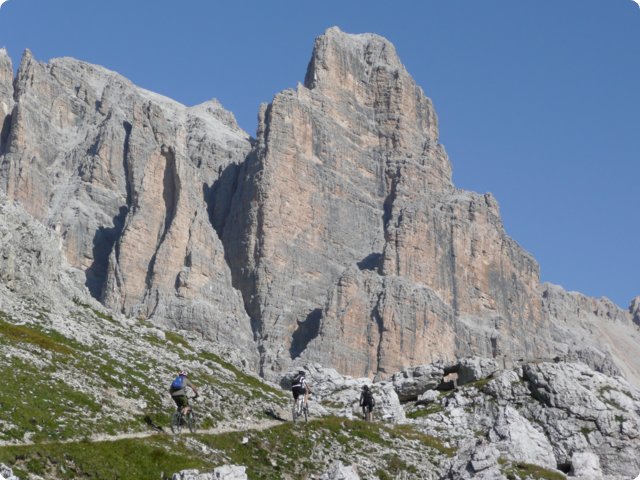 320.jpg