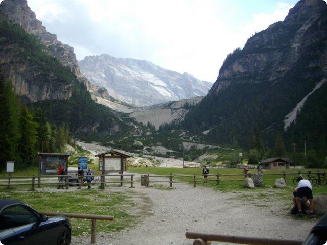 446.jpg