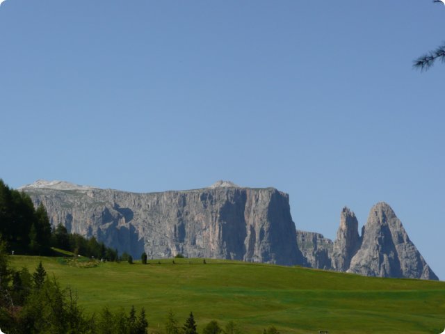 55.jpg