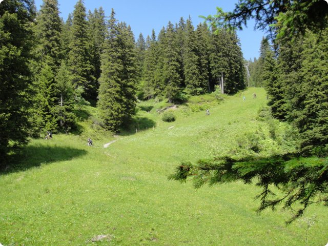 dsc01166.jpg