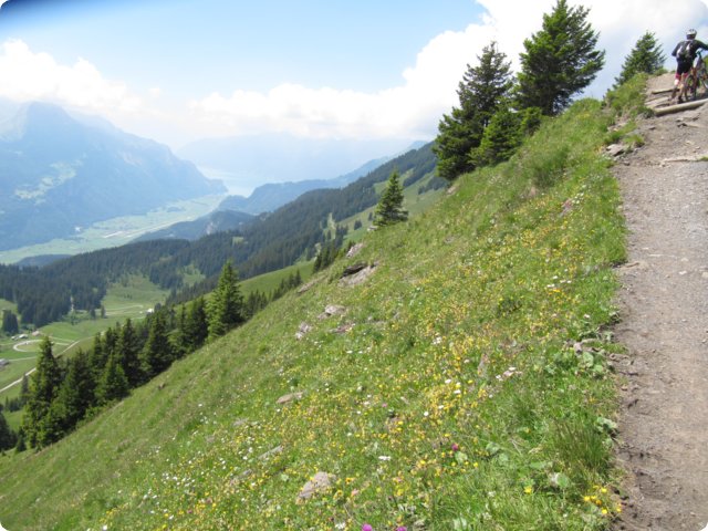 img_0112.jpg