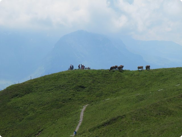img_0119.jpg