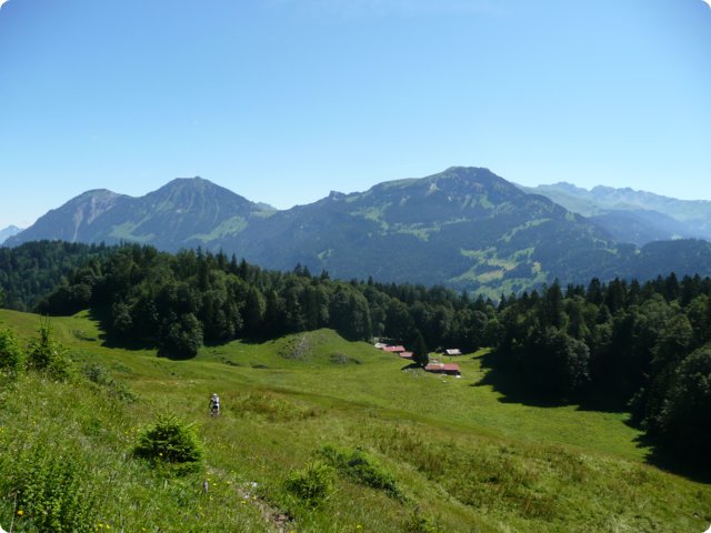 p1040284.jpg