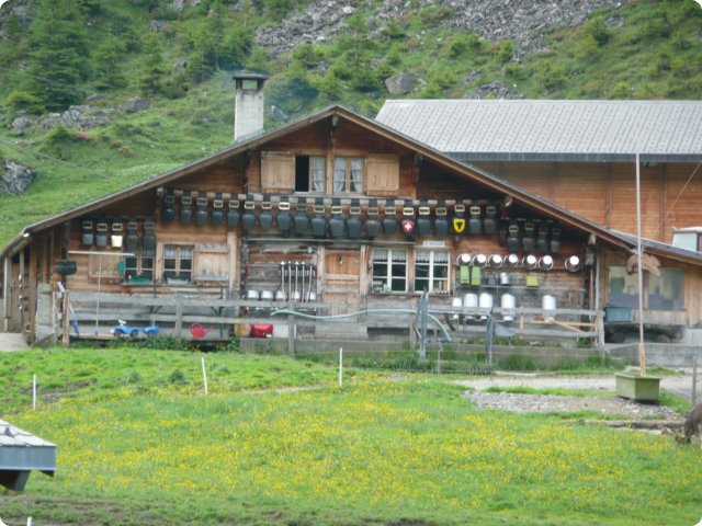 p1050820.jpg