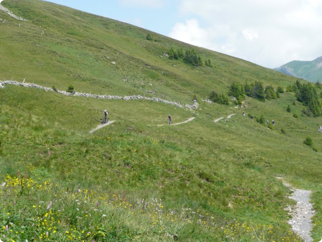p1050842.jpg