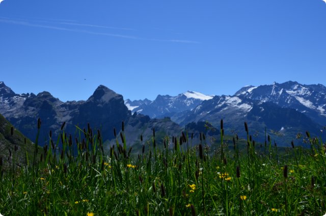 dsc_0156.jpg