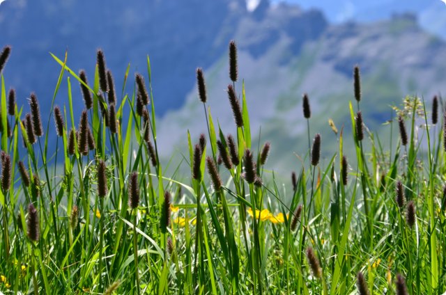 dsc_0158.jpg