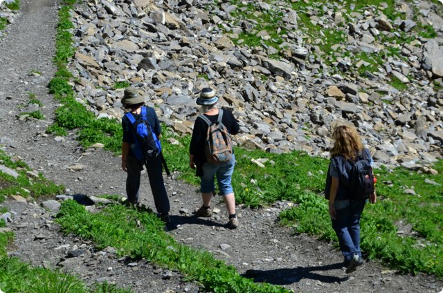 dsc_0162.jpg