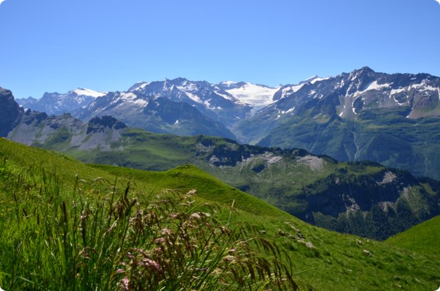 dsc_0166.jpg