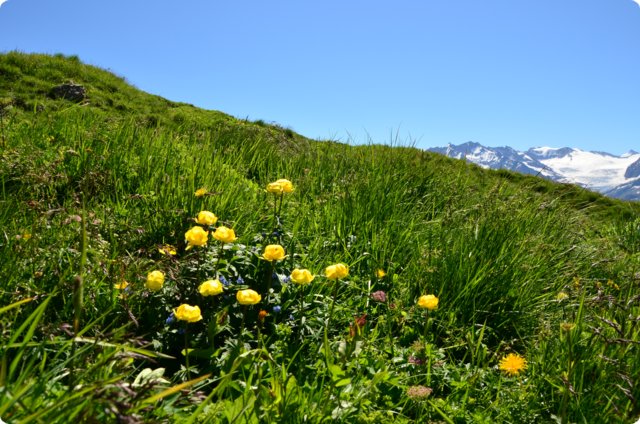 dsc_0192.jpg