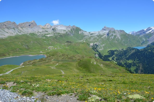 dsc_0272.jpg