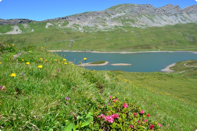 dsc_0298.jpg