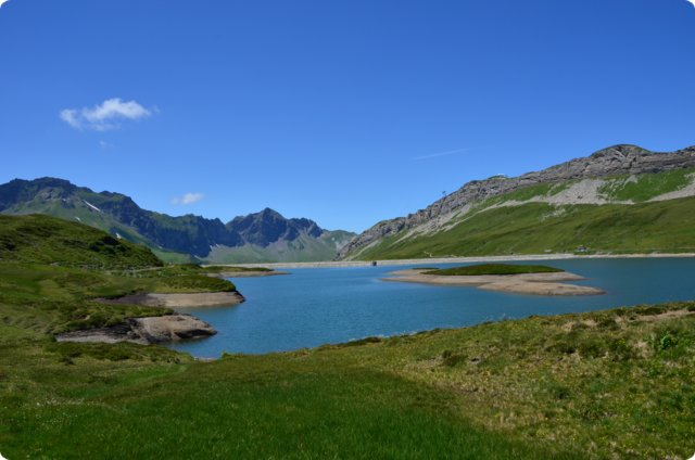 dsc_0307.jpg