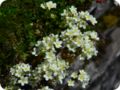 dsc_0147.jpg