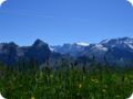 dsc_0156.jpg