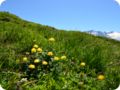 dsc_0192.jpg