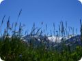 dsc_0215.jpg