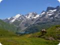 dsc_0313.jpg