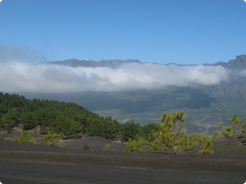 la_palma_2011_036.jpg
