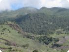 la_palma_2011_022.jpg