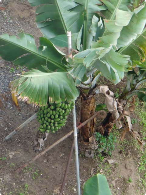 cimg0797.jpg