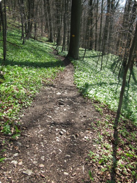 img_0154.jpg