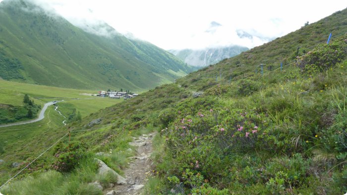 20120707_020.jpg