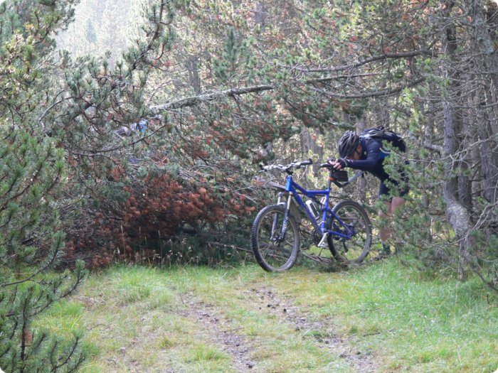 bike-woche_2012_273.jpg