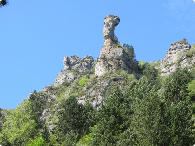 provence2012_357.jpg