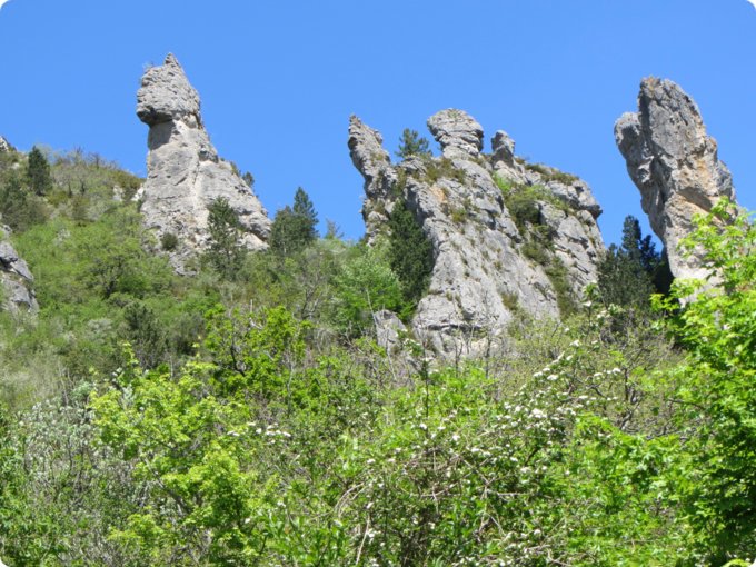 provence2012_374.jpg