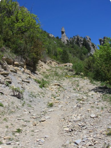 provence2012_381.jpg
