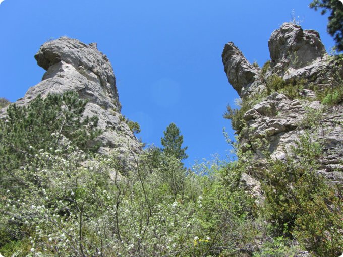 provence2012_392.jpg
