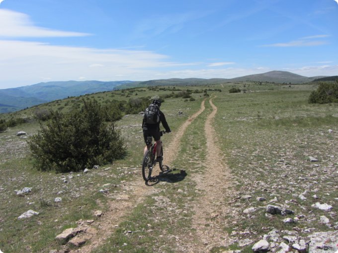 provence2012_440.jpg