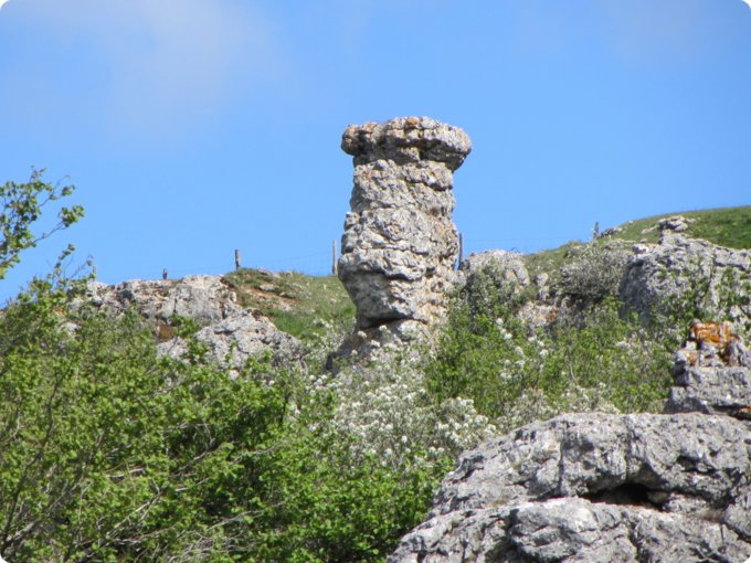 provence2012_657.jpg