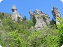 provence2012_374.jpg