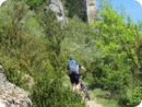 provence2012_384.jpg