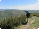 provence2012_416.jpg