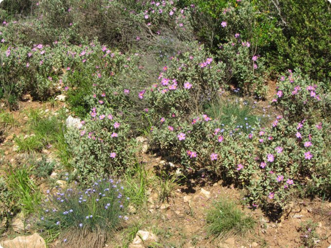 provence2012_099.jpg