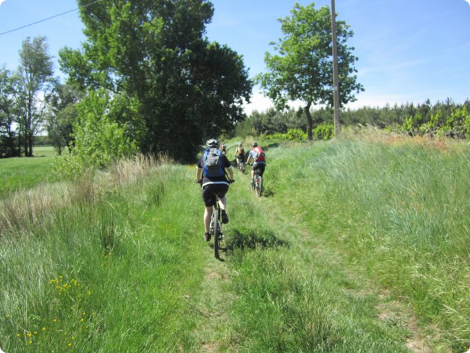 provence2012_144.jpg