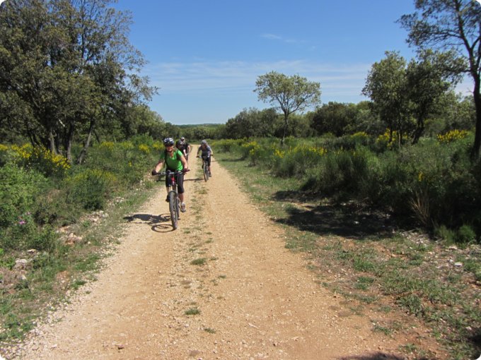 provence2012_156.jpg