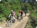 provence2012_082.jpg