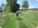 provence2012_144.jpg